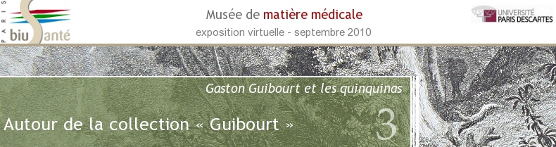 Guibourt et les quinquinas : Autour de la collection Guibourt