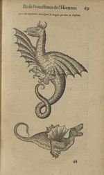 Deux figures des dragons qui tuent les elephans - Les Oeuvres d'Ambroise Paré,...divisees en trente  [...]
