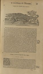 La figure d'un crocodile - Les Oeuvres d'Ambroise Paré,...divisees en trente livres. Avec les figure [...]