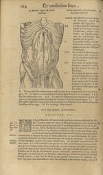 La premiere figure du ventre inferieur - Les Oeuvres d'Ambroise Paré,...divisees en trente livres. A [...]