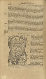 La seconde figure du ventre inferieur - Les Oeuvres d'Ambroise Paré,...divisees en trente livres. Av [...]