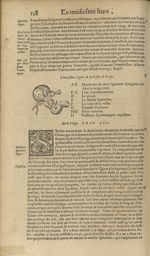 L'onziesme figure de la vessie & verge - Les Oeuvres d'Ambroise Paré,...divisees en trente livres. A [...]