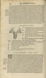 La douziesme figure, de la matrice - Les Oeuvres d'Ambroise Paré,...divisees en trente livres. Avec  [...]