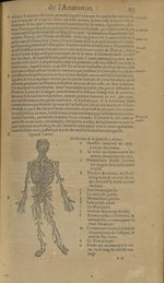 Figure de l'artere - Les Oeuvres d'Ambroise Paré,...divisees en trente livres. Avec les figures & po [...]