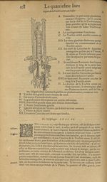 Figure de la trachée artere, ou chiflet - Les Oeuvres d'Ambroise Paré,...divisees en trente livres.  [...]