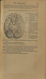 Figure septiesme, qui est des huict coniugaisons des nerfs du cerueau - Les Oeuvres d'Ambroise Paré, [...]
