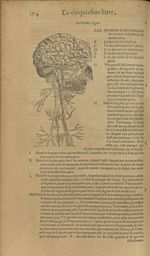 Huictiesme figure - Les Oeuvres d'Ambroise Paré,...divisees en trente livres. Avec les figures & pou [...]