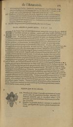 Neufiesme figure du rets admirable - Les Oeuvres d'Ambroise Paré,...divisees en trente livres. Avec  [...]