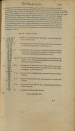 Figure de la spinale medulle - Les Oeuvres d'Ambroise Paré,...divisees en trente livres. Avec les fi [...]