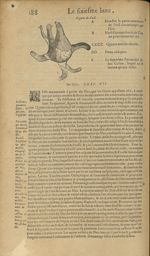 Figure de l'oeil - Les Oeuvres d'Ambroise Paré,...divisees en trente livres. Avec les figures & pour [...]