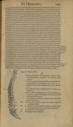 Figure de l'espine du dos - Les Oeuvres d'Ambroise Paré,...divisees en trente livres. Avec les figur [...]