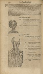 Figures quatriesme et cinquiesme des muscles - Les Oeuvres d'Ambroise Paré,...divisees en trente liv [...]