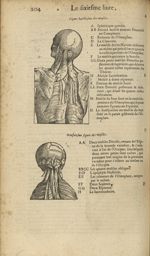 Figures huictiesme et neufuiesme des muscles - Les Oeuvres d'Ambroise Paré,...divisees en trente liv [...]