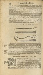 Cannules & aiguilles propres à faire les sutures - Les Oeuvres d'Ambroise Paré,...divisees en trente [...]