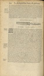 Lancette pour faire les saignées - Les Oeuvres d'Ambroise Paré,...divisees en trente livres. Avec le [...]