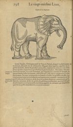 Figure d'un elephant - Les Oeuvres d'Ambroise Paré,...divisees en trente livres. Avec les figures &  [...]