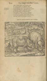 Figure du combat du rhinoceros contre l'elephant - Les Oeuvres d'Ambroise Paré,...divisees en trente [...]