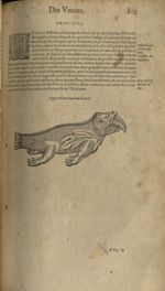 Figure d'un elephant de mer - Les Oeuvres d'Ambroise Paré,...divisees en trente livres. Avec les fig [...]