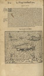 Figure du poisson nommé caspilly - Les Oeuvres d'Ambroise Paré,...divisees en trente livres. Avec le [...]