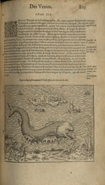 Figure du poisson nommé uletif, espece de licorne de mer - Les Oeuvres d'Ambroise Paré,...divisees e [...]