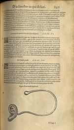 Figure d'une oreille artificielle - Les Oeuvres d'Ambroise Paré,...divisees en trente livres. Avec l [...]