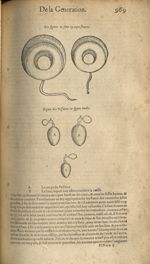Figure des pessaires en figure oualle - Les Oeuvres d'Ambroise Paré,...divisees en trente livres. Av [...]
