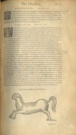 Figure d'un poulain ayant la teste d'homme - Les Oeuvres d'Ambroise Paré,...divisees en trente livre [...]
