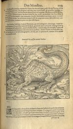 Pourtraict du poisson nommé orobon - Les Oeuvres d'Ambroise Paré,...divisees en trente livres. Avec  [...]