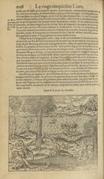 Figure de la prinse des crocodiles - Les Oeuvres d'Ambroise Paré,...divisees en trente livres. Avec  [...]