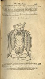 Figure d'un autre poisson volant fort monstrueux - Les Oeuvres d'Ambroise Paré,...divisees en trente [...]