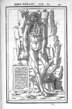 De dissectione partium corporis humani libri tres, à Carolo Stephano, doctore Medico, editi. Unà cum [...]