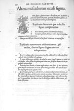 Altera musculorum oculi figura - De dissectione partium corporis humani libri tres, à Carolo Stephan [...]
