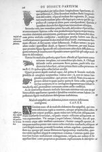 Musculi ad pectus attinentes - De dissectione partium corporis humani libri tres, à Carolo Stephano, [...]