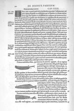 Musculi tibiae interni - De dissectione partium corporis humani libri tres, à Carolo Stephano, docto [...]