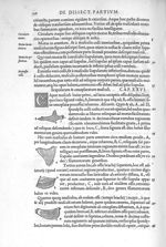 Scapularum & omoplatarum muscul - De dissectione partium corporis humani libri tres, à Carolo Stepha [...]