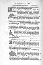 Musculi lumborum, à dorso ad nates - De dissectione partium corporis humani libri tres, à Carolo Ste [...]