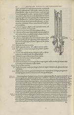 [Nerfs] - Andreae Vesalii,... de Humani corporis fabrica libri septem... 