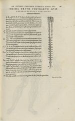 Prima trium figurarum quae subsequentibus capitibus communes habentur [Nerfs] - Andreae Vesalii,...  [...]