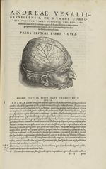 Prima septimi libri figura [Cerveau] - Andreae Vesalii,... de Humani corporis fabrica libri septem.. [...]