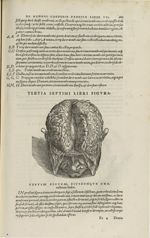 Tertia septimi libri figura [Cerveau] - Andreae Vesalii,... de Humani corporis fabrica libri septem. [...]