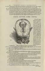 Sexta septima libri figura [Cerveau] - Andreae Vesalii,... de Humani corporis fabrica libri septem.. [...]
