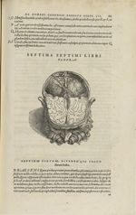 Septima septimi libri figura [Cerveau] - Andreae Vesalii,... de Humani corporis fabrica libri septem [...]