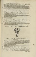 Decima septimi libri figura [Cervelet et moelle épinière] - Andreae Vesalii,... de Humani corporis f [...]