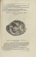Decima quarta septimi libri figura [Crâne, cerveau retiré] - Andreae Vesalii,... de Humani corporis  [...]