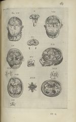 [Planche deuxième du cerveau.] Fig. VII. à Fig. XIX - Toutes les Oeuvres...trad. par Théophile Gelée