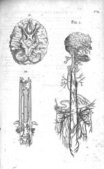 Tabula haec nervos a cerebri medulla prodeuntes explicat - Historia anatomica humani corporis et sin [...]