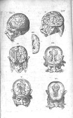 Tabula haec cerebri partes ostendit - Historia anatomica humani corporis et singularum ejus partium  [...]