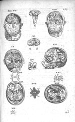 Tabula altera cerebri - Historia anatomica humani corporis et singularum ejus partium multis controv [...]