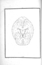 Coupe du cerveau faite immédiatement au-dessous de la précédente - Traité d'anatomie et de physiolog [...]