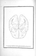 Coupe du cerveau faite en dessus et au niveau des deux commissures - Traité d'anatomie et de physiol [...]